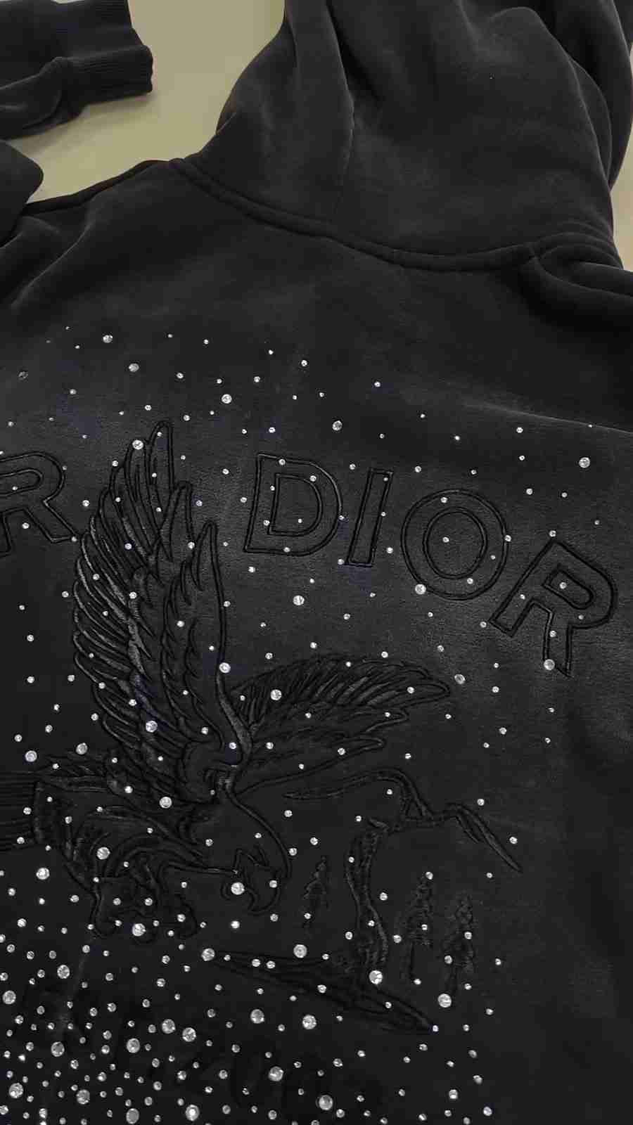 Dark hoodie with tonal bird embroidery, outlined lettering and scattered clear rhinestones